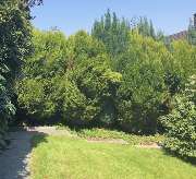 Harry's Haus- & Gartenservice - 18