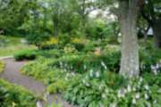 Hartmann Garten & Landschaftsbau - 4