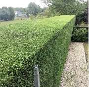 HashTEC Garten- u. Landschaftsbau - GALLERY
