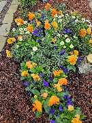 Hastrich Grabgestaltung & Grabpflege - Hastrich Grabgestaltung & Grabpflege