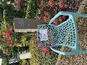 Hastrich Grabgestaltung & Grabpflege - Hastrich Grabgestaltung & Grabpflege - Memoriam-Garten