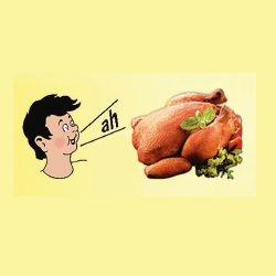 Haubold's Grillhähnchen - LOGO