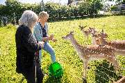 Haus am Wildgehege Irmtraut - GALLERY