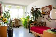 Haus am Wildgehege Irmtraut - GALLERY