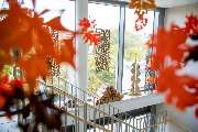 Haus an der Paar Aichach - GALLERY