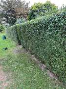 Haus-Garten-Service - 15