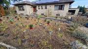 Haus-Garten-Service - 6