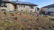 Haus-Garten-Service - 7