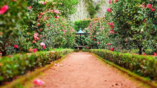 Haus & Gartenservice - 2