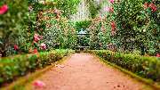 Haus & Gartenservice - 2