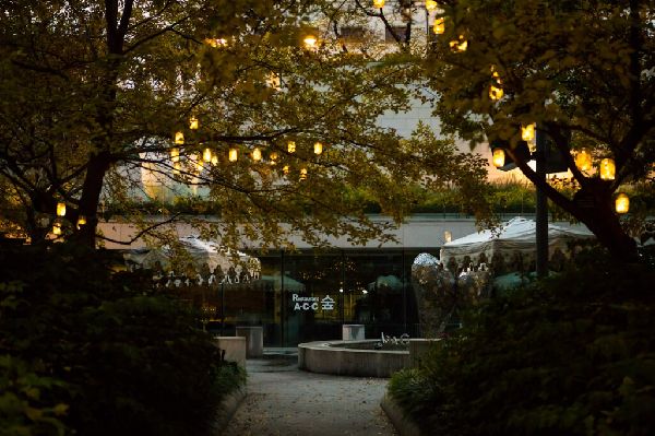 Haus & Gartenservice - 3