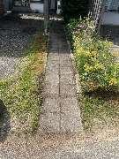 Haus-&Gartenservice Rose - 18