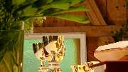Haus Gries - GALLERY