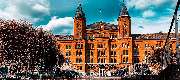 Haus & Grund Celle - GALLERY