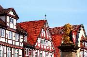 Haus & Grund Celle - GALLERY