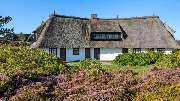 Haus Pidder-Lyng - GALLERY