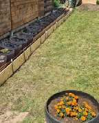 Haus Und Garten Dienstleistungen Rinteln - 3