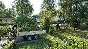 Haus- und Gartenservice Lucas Sense - 4332579B-EF13-4F1D-B15C-F36B95F4DD4F.JPG