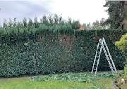 Haus- und Gartenservice - Mittelfranken Pavel Vostarek - 13