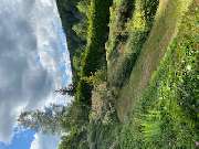 Haus- und Gartenservice - Mittelfranken Pavel Vostarek - 5