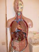 Hausarzt und Internist Khatami I München - GALLERY