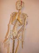 Hausarzt und Internist Khatami I München - GALLERY