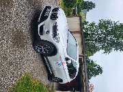 Hausmeister-Pinto - 20240727_113105.jpg