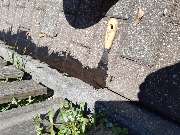 Hausmeisterdienst-Salzmann - 18