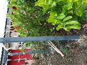 Hausmeisterdienst-Salzmann - 28