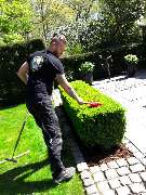 HausmeisterService Dunkel - Gebäudereinigung Düsseldorf und Umgebung - Grünanlagenpflege