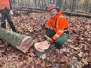 Hausmeisterservice Eng - 11