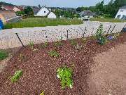 Hausmeisterservice Hackl - GALLERY