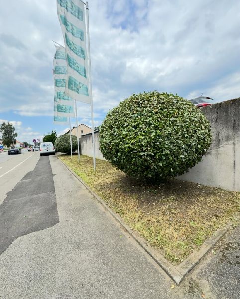 Hausmeisterservice Leo - Gartenpflege Nachher.jpg