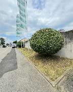 Hausmeisterservice Leo - Gartenpflege Nachher.jpg
