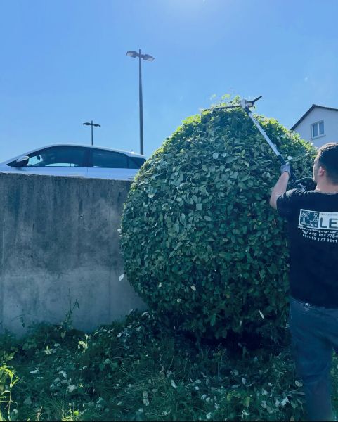 Hausmeisterservice Leo - Gartenpflege Vorher.jpg