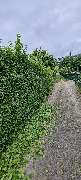 Hausservice Eisold - GALLERY