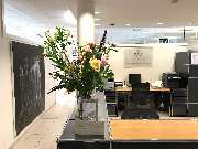 Hautarztpraxis Kock - GALLERY