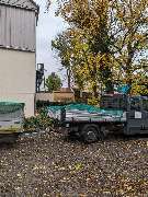 HD Baum&Gartenpflege - 1000005082.jpg