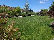 HD Baum&Gartenpflege - 1000014197.jpg