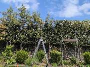 HD Baum&Gartenpflege - 1000014510.jpg