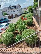 HD Baum&Gartenpflege - 1000016759.jpg