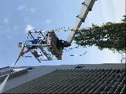 HDLS GmbH Hausdienstleistungsservice - IMG_3003.JPG