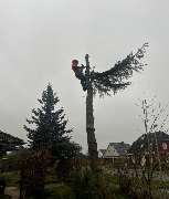 HDS Hausmeisterdienste Falko Stange - 3