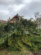 HDS Hausmeisterservice Entrümpelung Baumfällung Entkernung Demontage Altmetall-Entsorgung - GALLERY