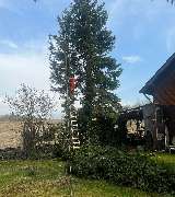 HDS Hausmeisterservice Entrümpelung Baumfällung Entkernung Demontage Altmetall-Entsorgung - GALLERY