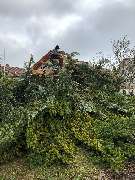 HDS Hausmeisterservice Entrümpelung Baumfällung Entkernung Demontage Altmetall-Entsorgung - GALLERY