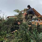 HDS Hausmeisterservice Entrümpelung Baumfällung Entkernung Demontage Altmetall-Entsorgung - GALLERY