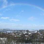 HDS Hausmeisterservice Entrümpelung Baumfällung Entkernung Demontage Altmetall-Entsorgung - GALLERY