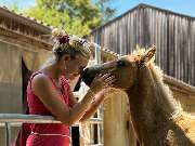 Heal and Feel - GALLERY