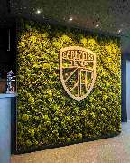 Healthyscape - Natur · Kunst · Handwerk - GALLERY